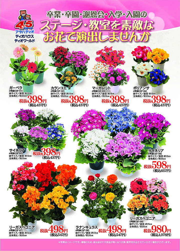 アヤハディオ 箕面彩都店のチラシ 特価情報 クラシルチラシ