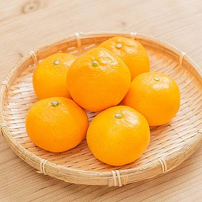 オレンジ色の小さなスナック オレンジ色の小さなスナック パープル