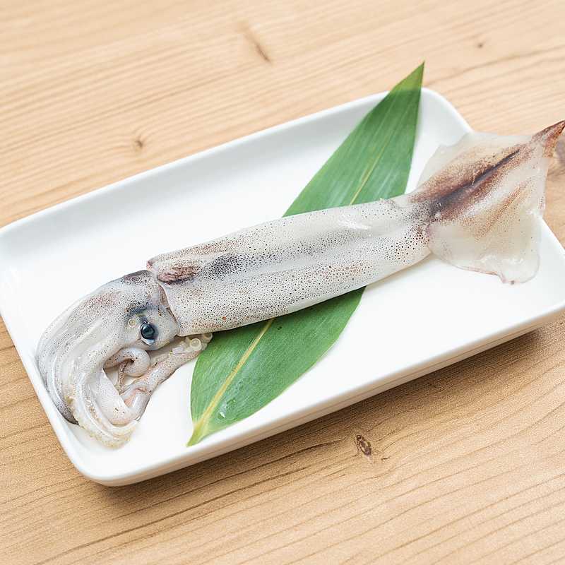 国産スルメイカの無添加あたりめ北海道産松前するめ10枚で約550g 大サイズ無添加あたりめ☆国産スルメイカの北海道産松前するめ4枚で