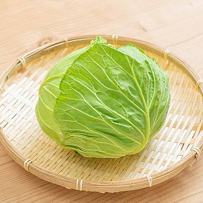 キャベツ　20玉　11 キャベツ 20玉 11