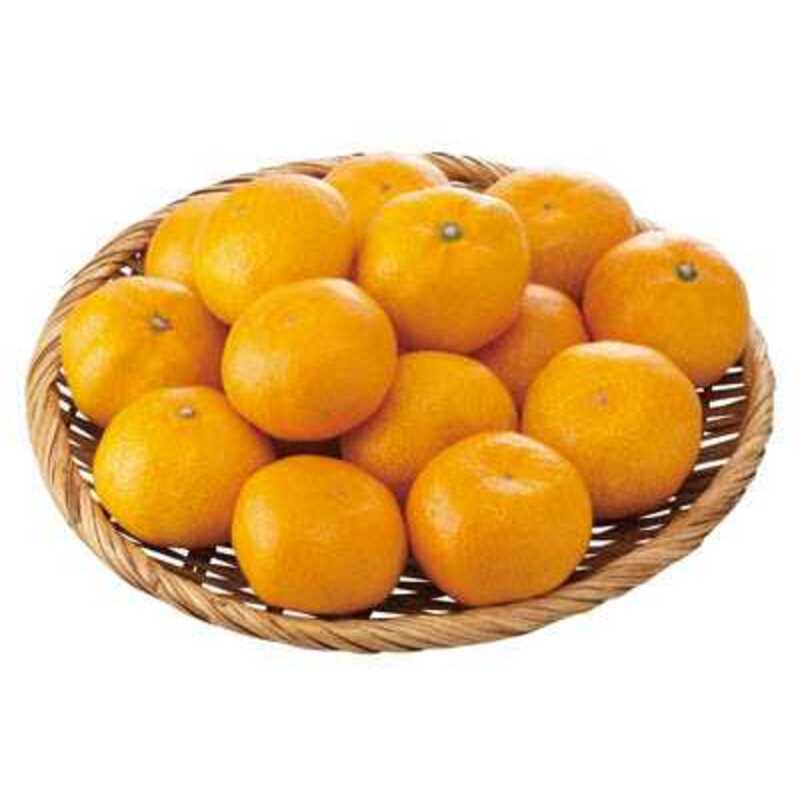 みかん | クラシルチラシ