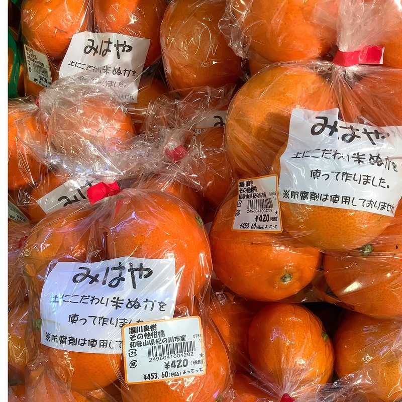 みかん（みはや） | クラシルチラシ
