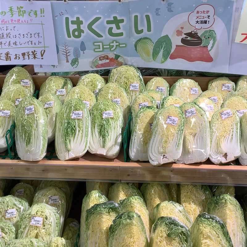 白菜 | クラシルチラシ