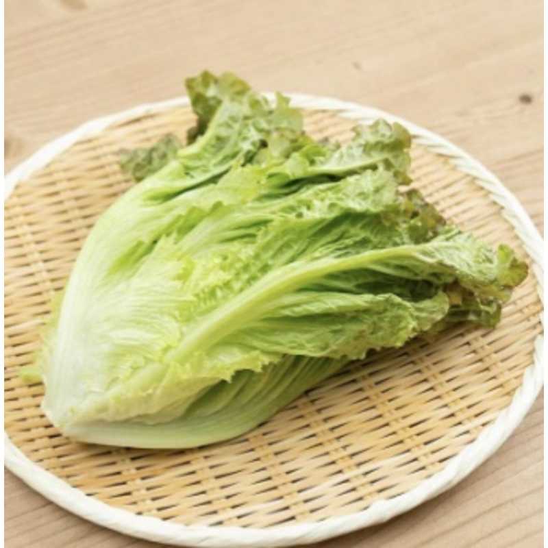 サニーレタス | クラシルチラシ