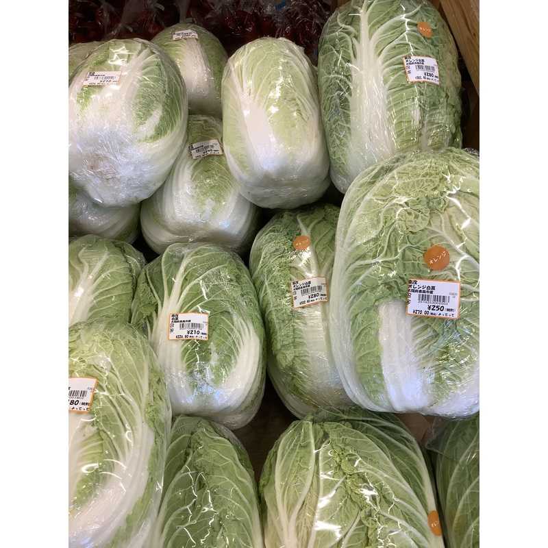 白菜 | クラシルチラシ