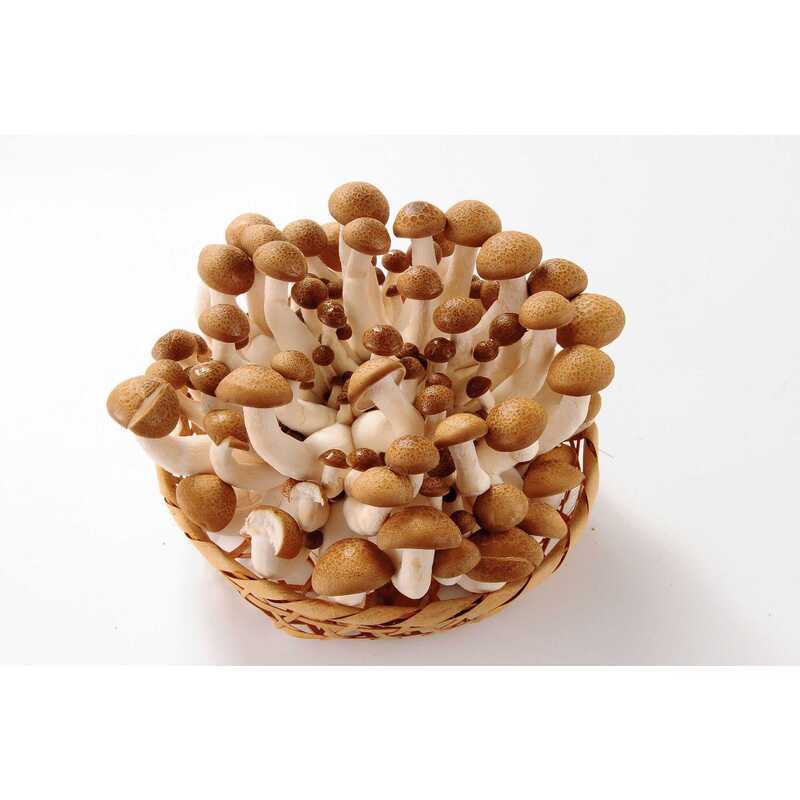 ぶなしめじ | クラシルチラシ