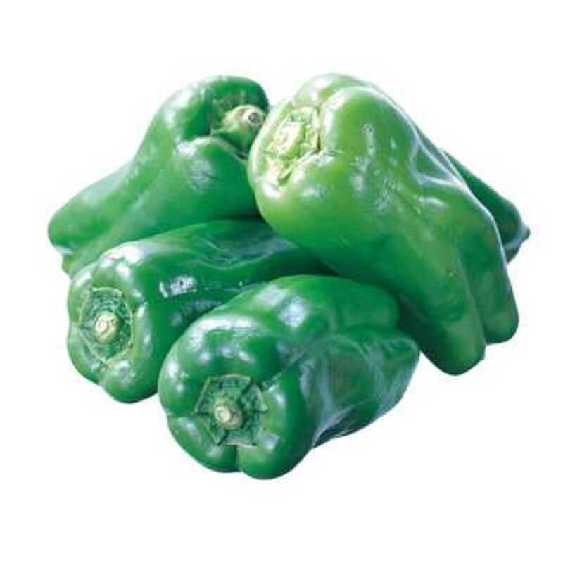 ピーマン ピーマン(鹿児島県産)|有機野菜 通販 Oisix(おいしっくす)