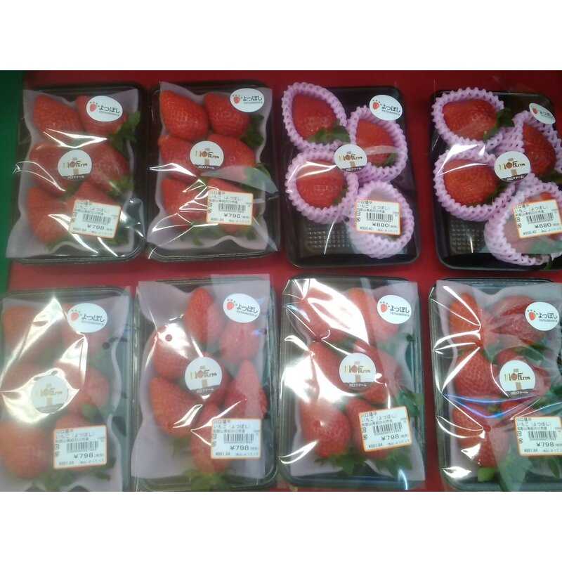 かわいやいちごページ☺︎ かわいやいちご かわいやいちご様 いちご様 いちご① いちごページ 椿