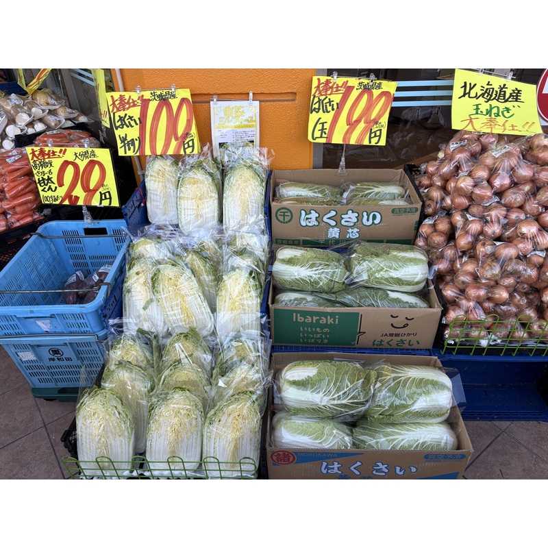 白菜1玉(199円) | クラシルチラシ