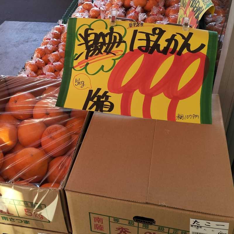 ぽんかん箱売り！ | クラシルチラシ