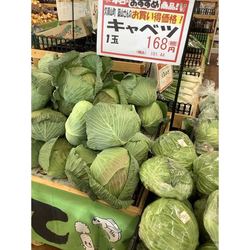 キャベツ | クラシルチラシ