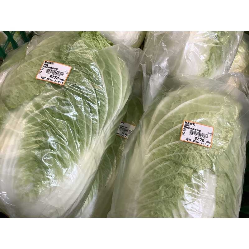 白菜 | クラシルチラシ