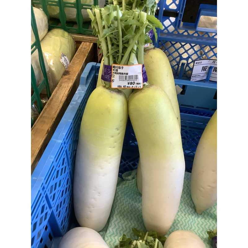 大根 | クラシルチラシ