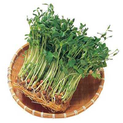 カットぶなしめじ | クラシルチラシ