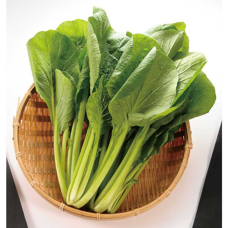 小松菜 | クラシルチラシ