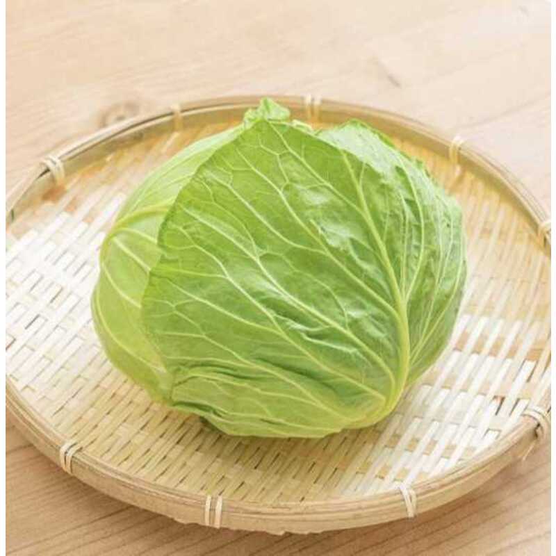 キャベツ | クラシルチラシ