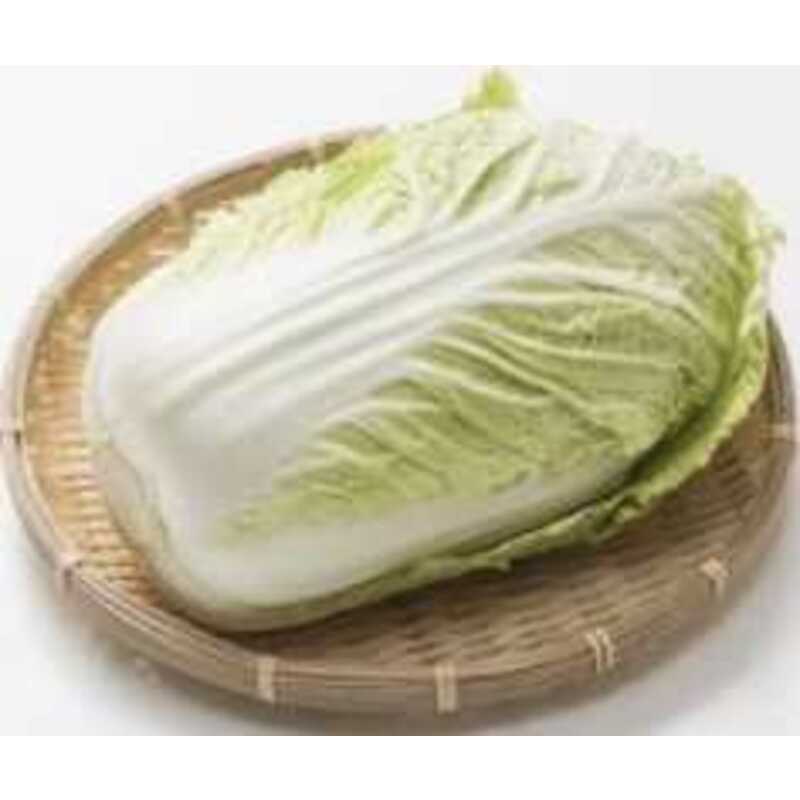 白菜 | クラシルチラシ