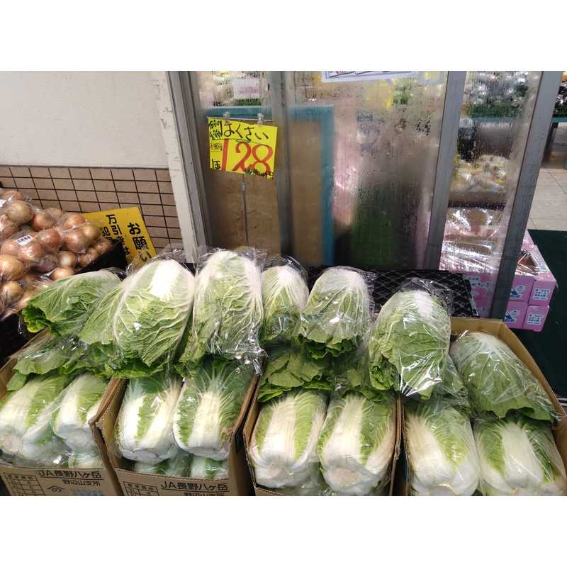 白菜 | クラシルチラシ