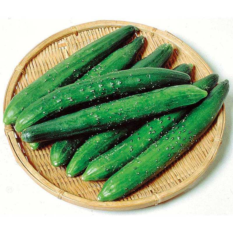 きゅうり バロー 津幡店 クラシルチラシ