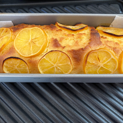 たべれぽの写真