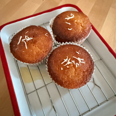 たべれぽの写真