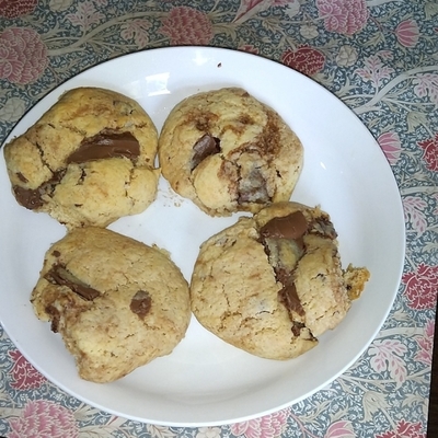 たべれぽの写真