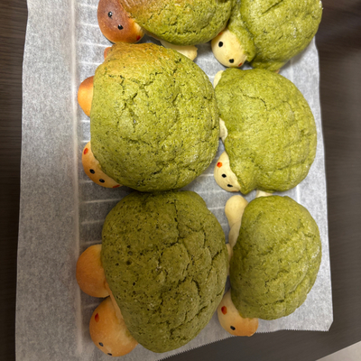 たべれぽの写真