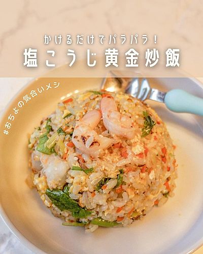 かけるだけでパラパラ 塩こうじ黄金チャーハン