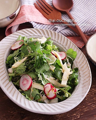 姫皮とパクチーのエスニックサラダ