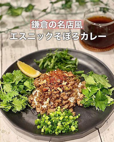 エスニックそぼろカレー