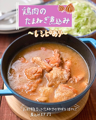 鶏肉の玉ねぎ煮込み