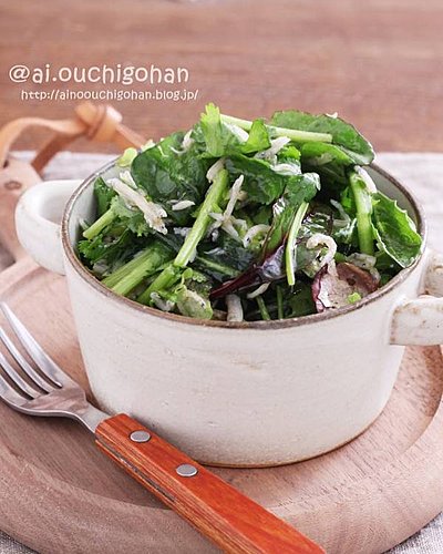 おつまみにもなるパクチーとしらすのサラダ