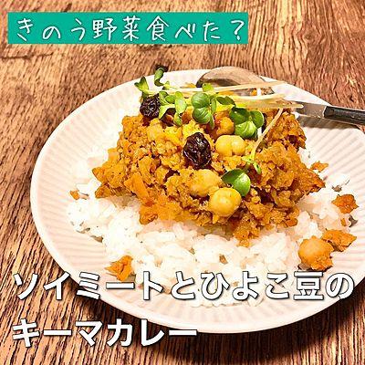 ソイミートとひよこ豆のキーマカレー