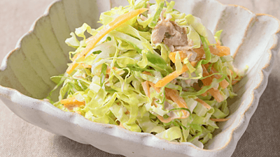 春キャベツとツナのレシピおすすめの7選を紹介