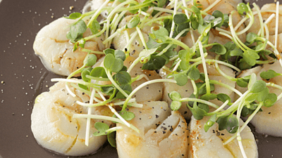 炙りのレシピおすすめの9選を紹介