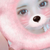 Profile picture small