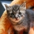 Profile picture small