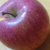 Profile picture small