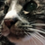 Profile picture small
