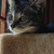 Profile picture small