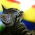 Profile picture small