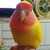 Profile picture small