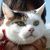 Profile picture small