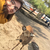 Profile picture small