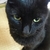 Profile picture small