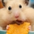 Profile picture small