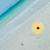Profile picture small