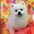 Profile picture small