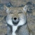 Profile picture small