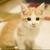 Profile picture small